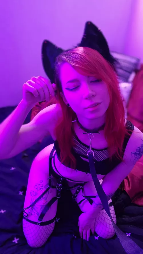 A good pet always wears a collar, no? 