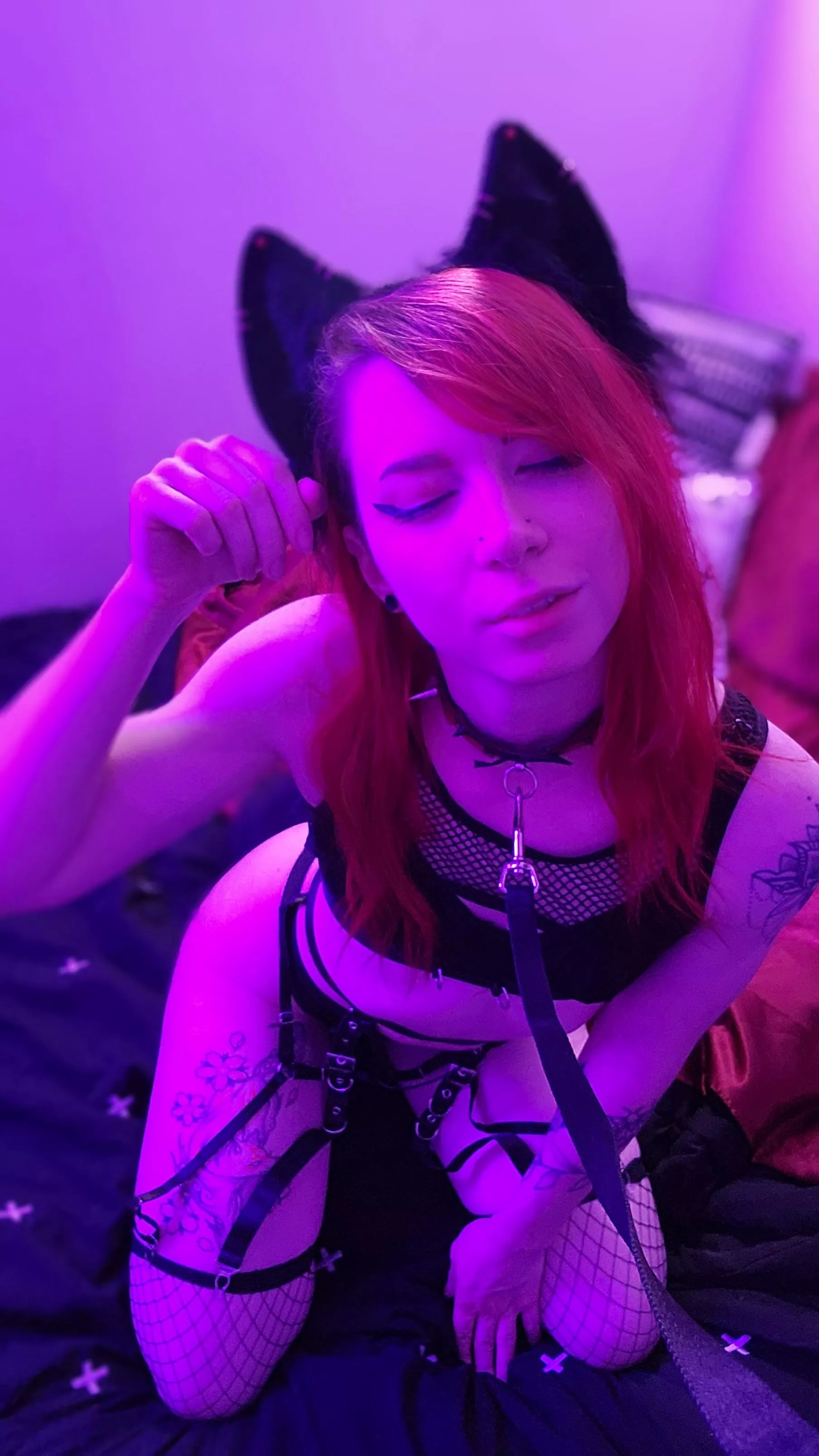 A good pet always wears a collar, no? 