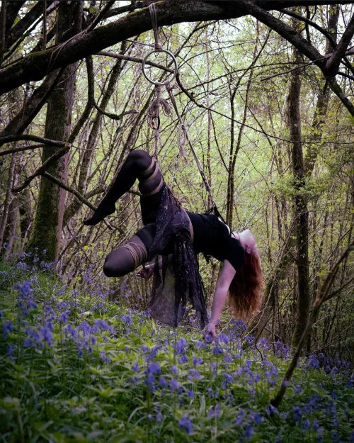 A nice suspension in the bluebells 