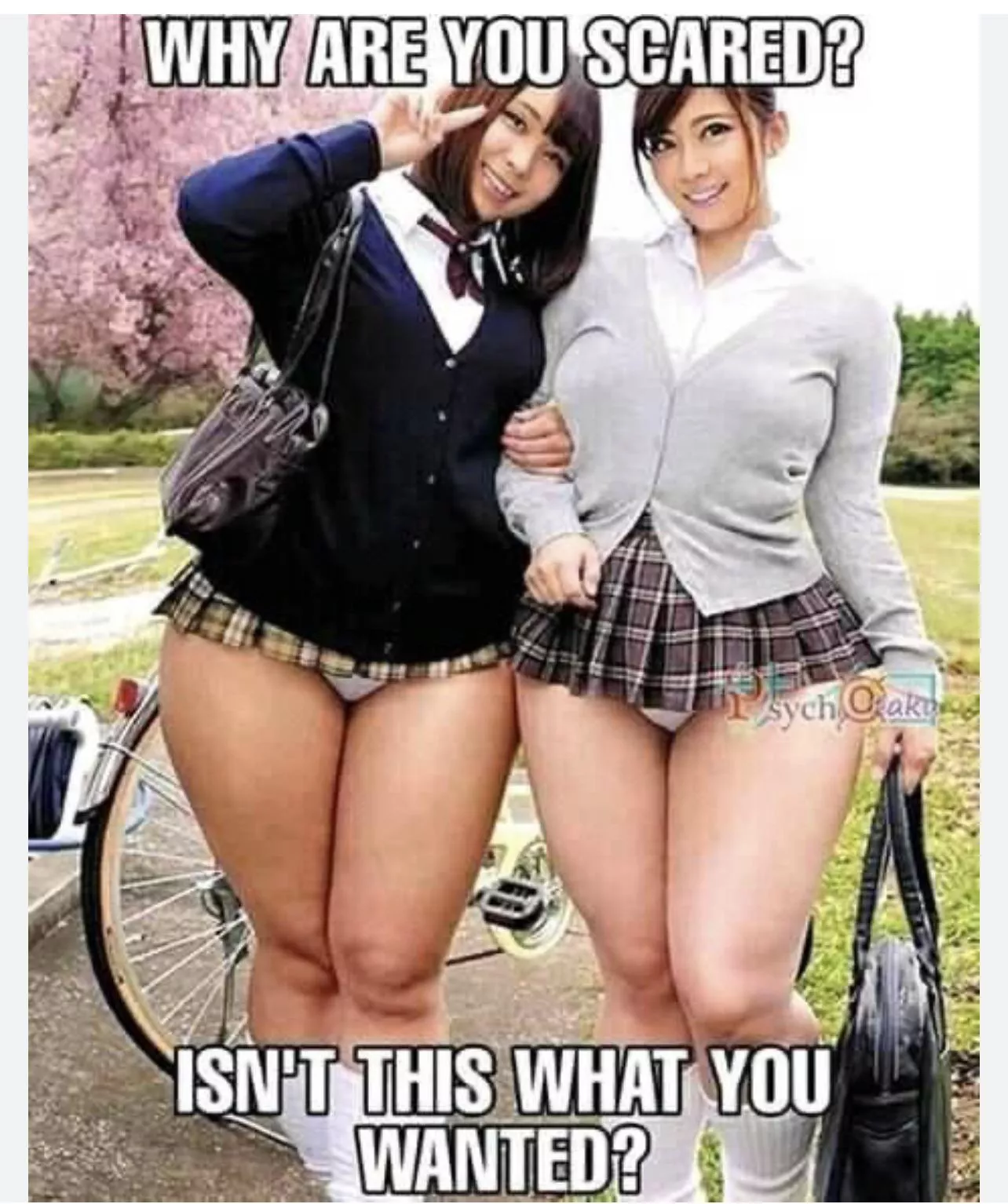 Anyone know the vid where they from ? I dont remember the videos name.