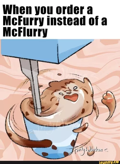Can i interest you in a mcfurry ?