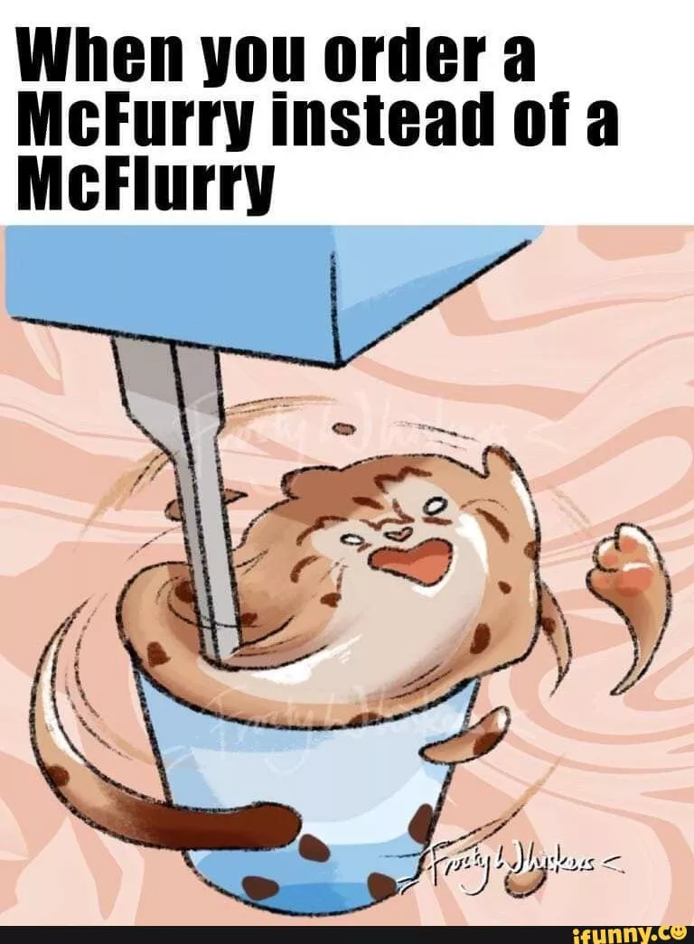 Can i interest you in a mcfurry ?