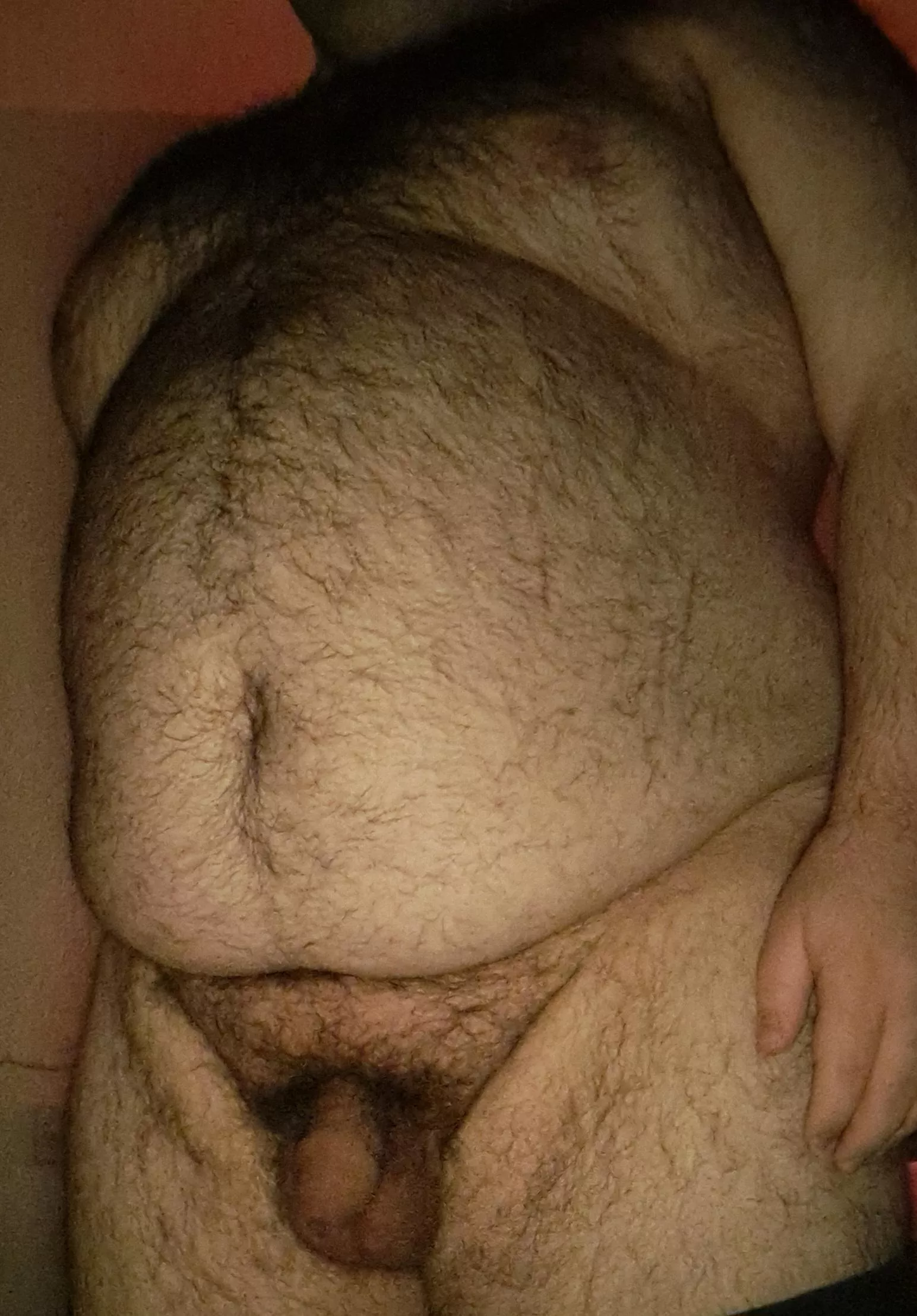 Can't tell where the pubes end and the body hair begins...