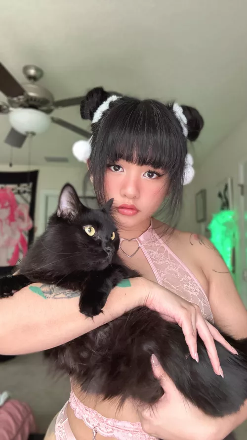 Catshion > fashion