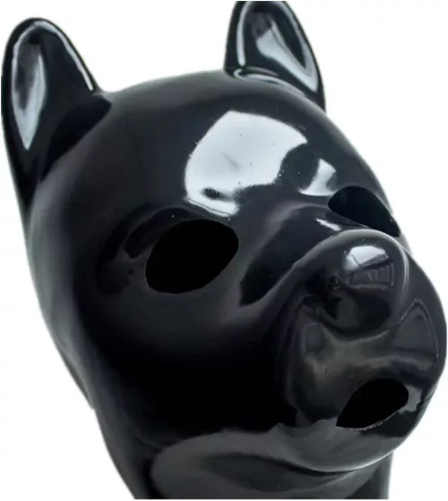 Does anyone know where I can get a legit version of this hood? 