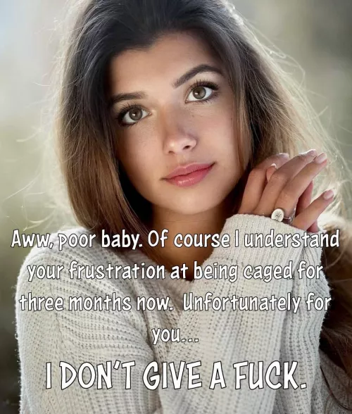 Don’t be fooled by those big brown eyes. She will slowly destroy you. 