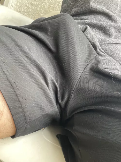 Gym shorts 