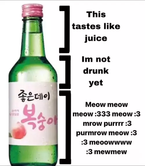 How to Make Cat Boys