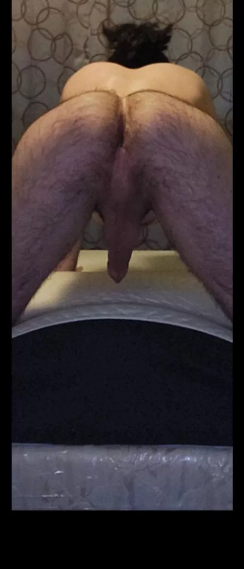 I'm hoping my hairyness is a little more appreciated here