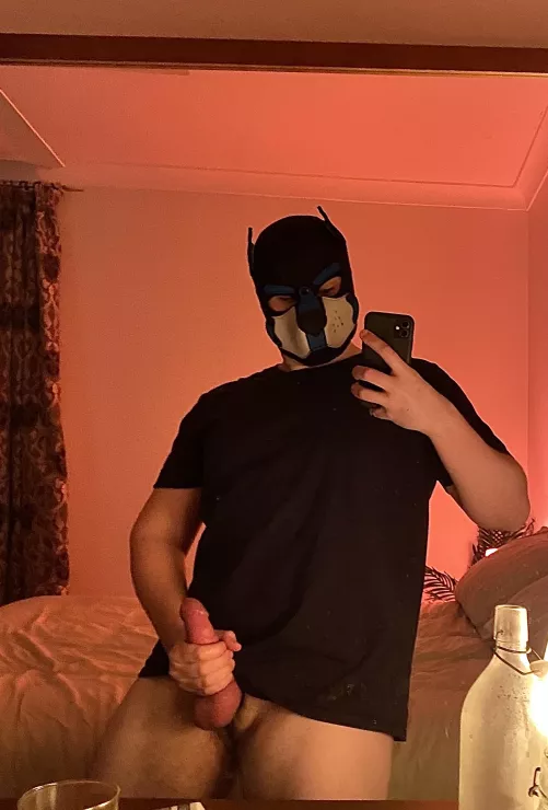 Is this an okay size?