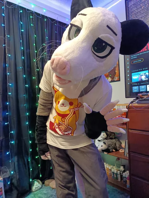 Just a day late for fursuit Friday but I'm finally finished with making my opossum suit!!
