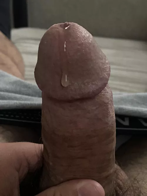 Just pulled it out and precum is rolling 