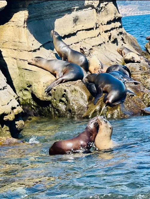 La Jolla, California