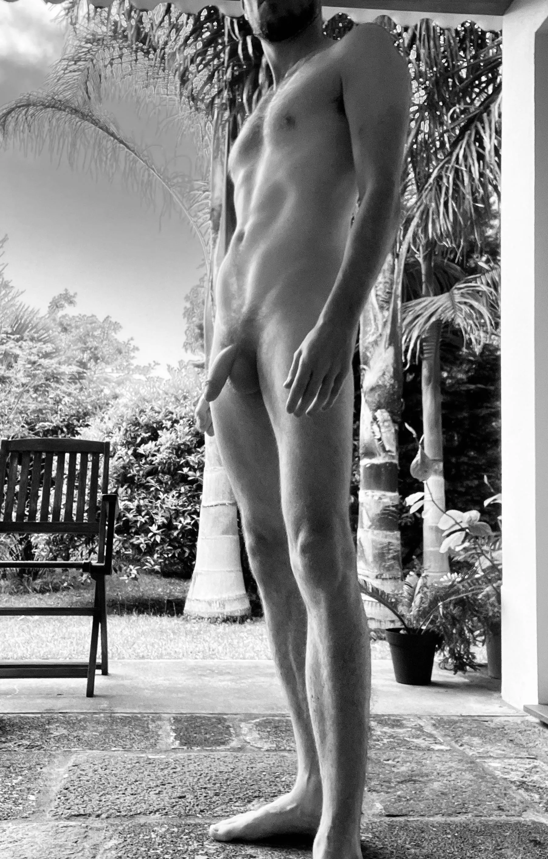 Tropical garden life