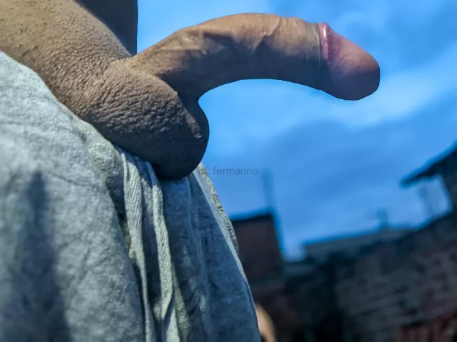 What would you do if I was your neighbor?