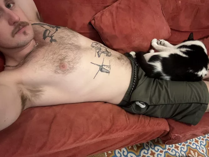 What would you pet first?