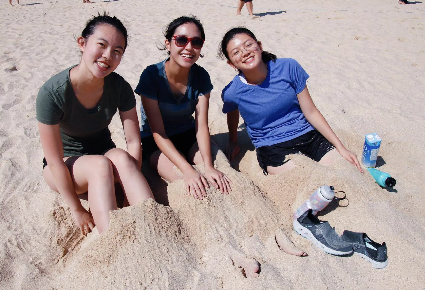 which beach girl would you pick