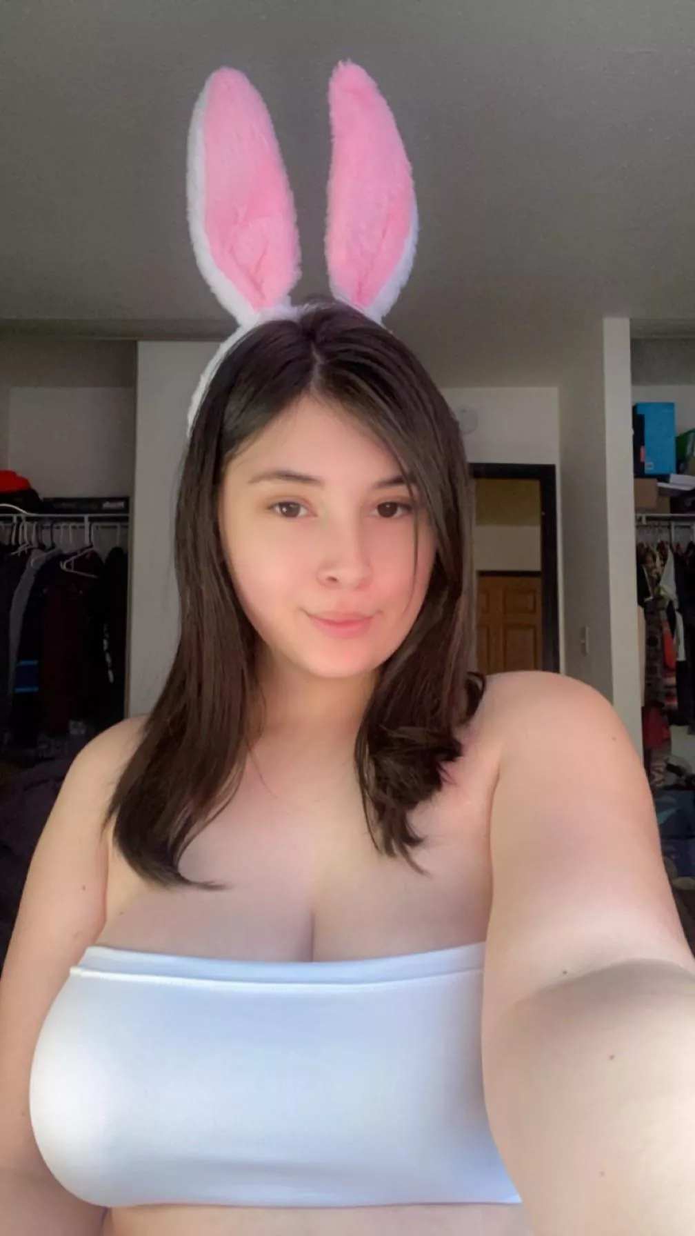 your busty bunny
