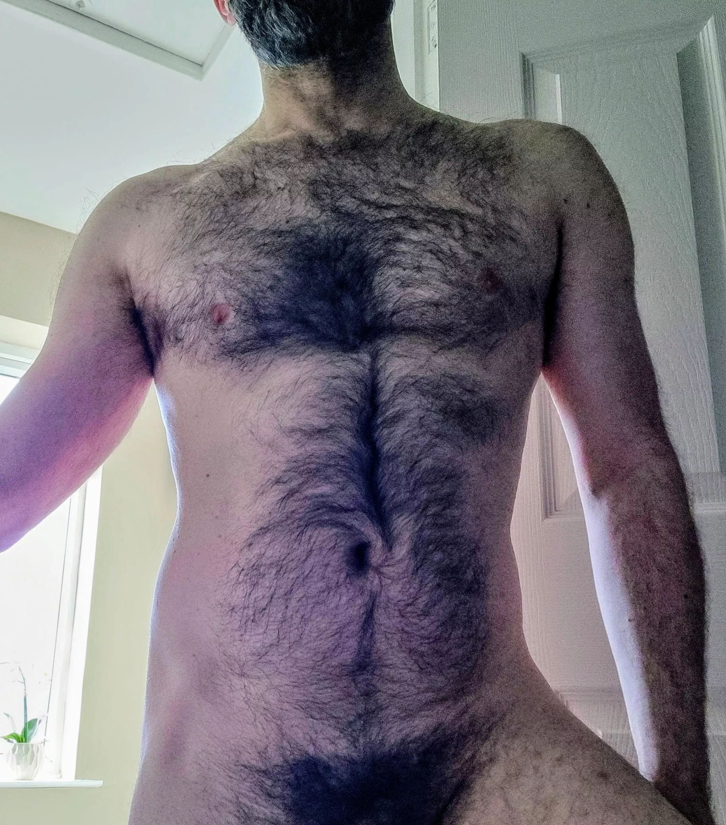 Your friendly werewolf 🐺