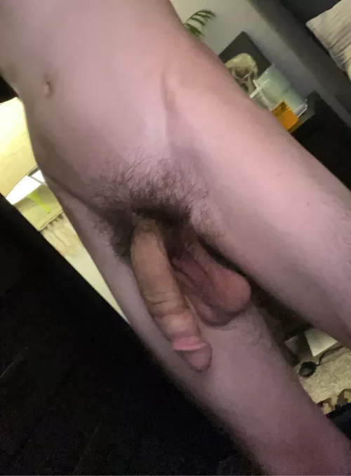 21 need a good boy to milk my cock