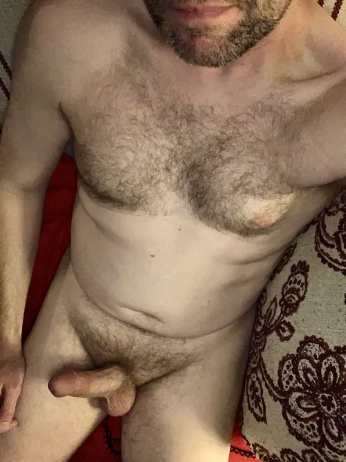 [51] need someone to take this beard for a test ride 