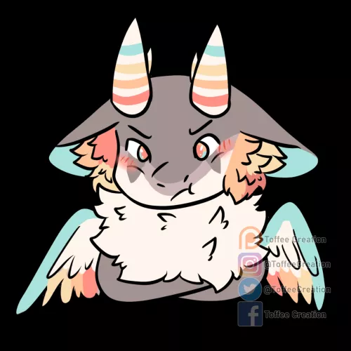 A little grumpy floof!
