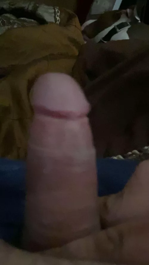 Any girls into 3 incher pinchers? Latino BHM