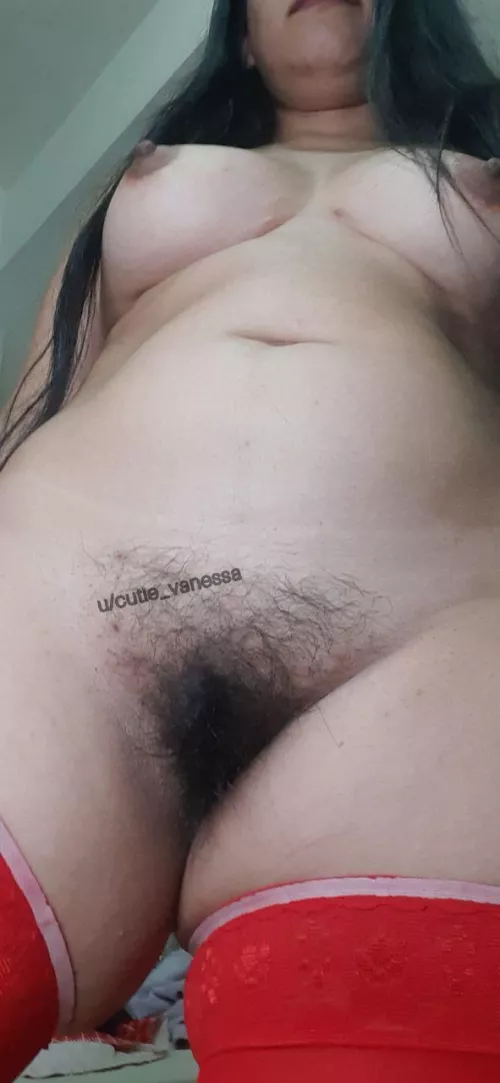 Chubby + Hairypussy