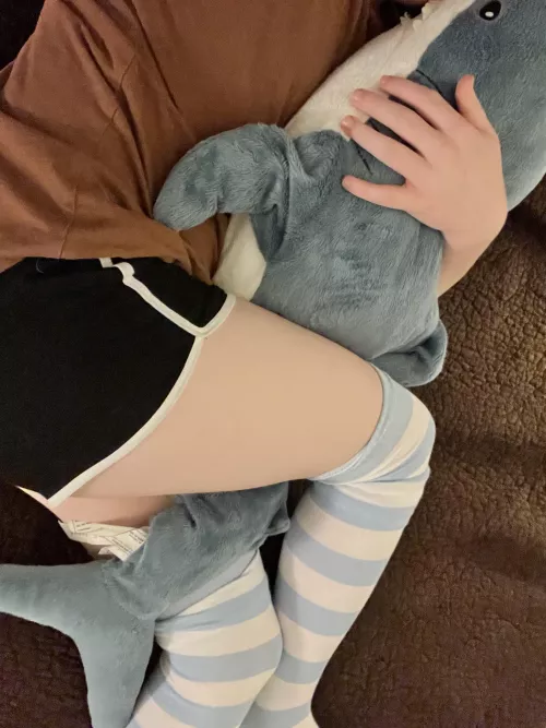 Cuddling with blahaj 🫶🏻🫶🏻