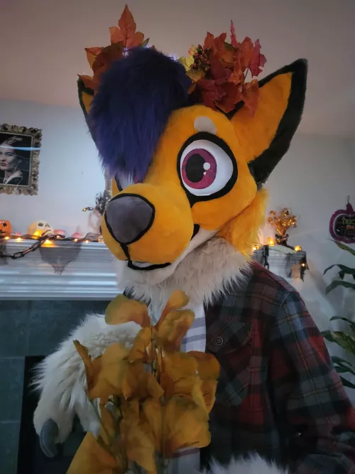 Daily fursuit posting
