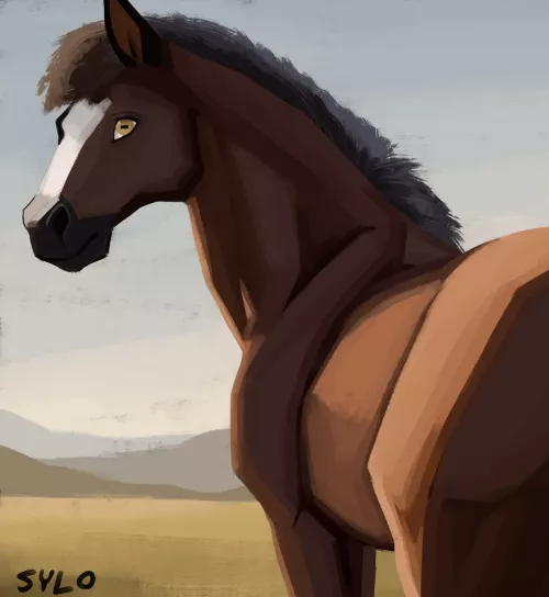 Fields (Art by me)