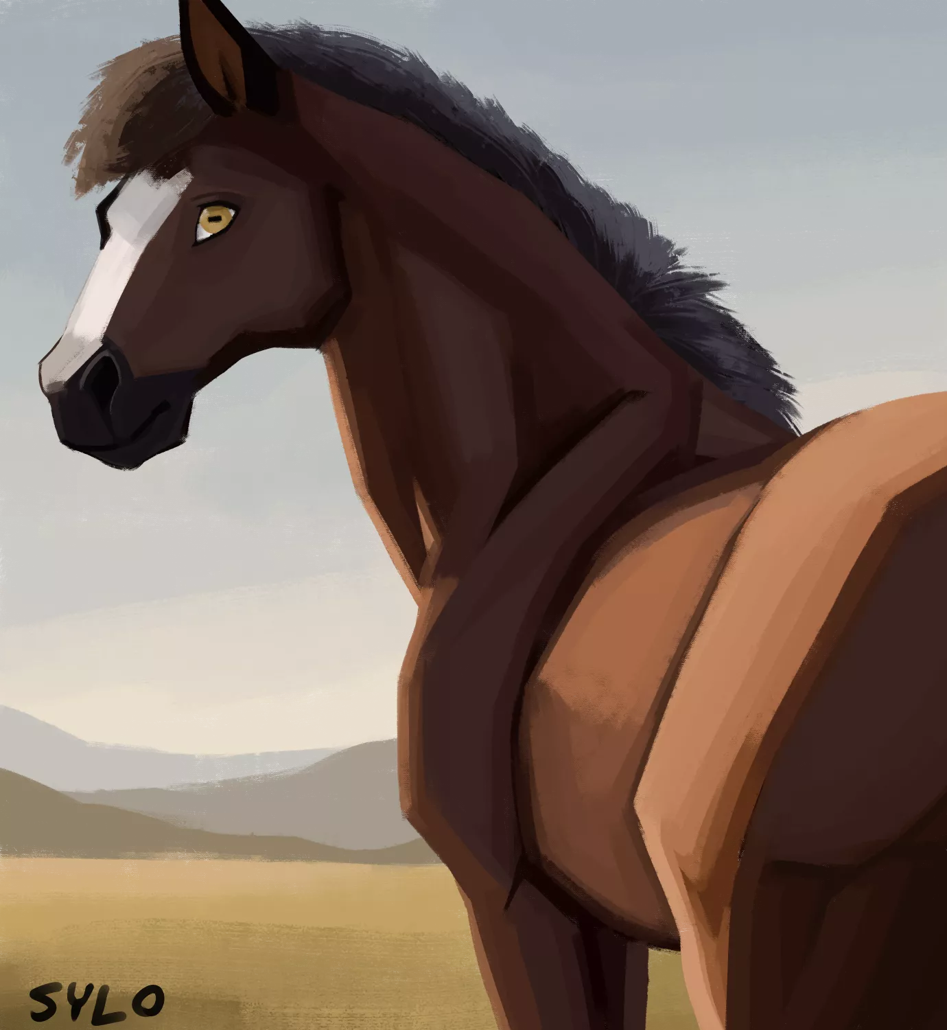 Fields (Art by me)