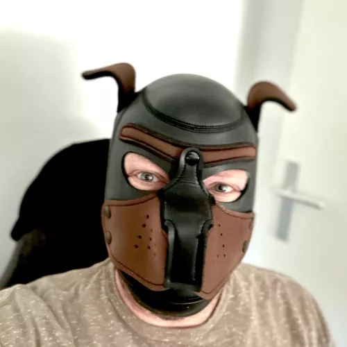 Had a wruff weekend, but still a good boy.