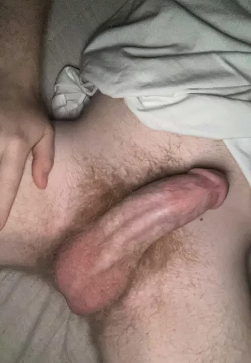 hairy and horny, hmu