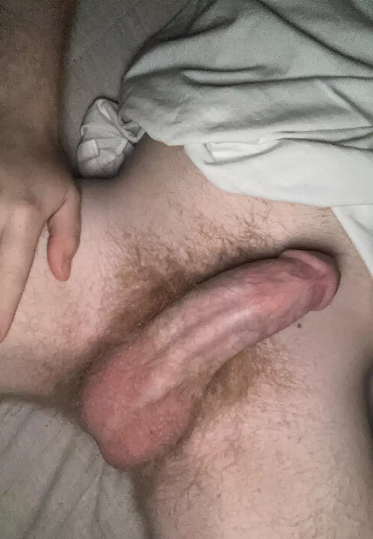 hairy and horny, hmu