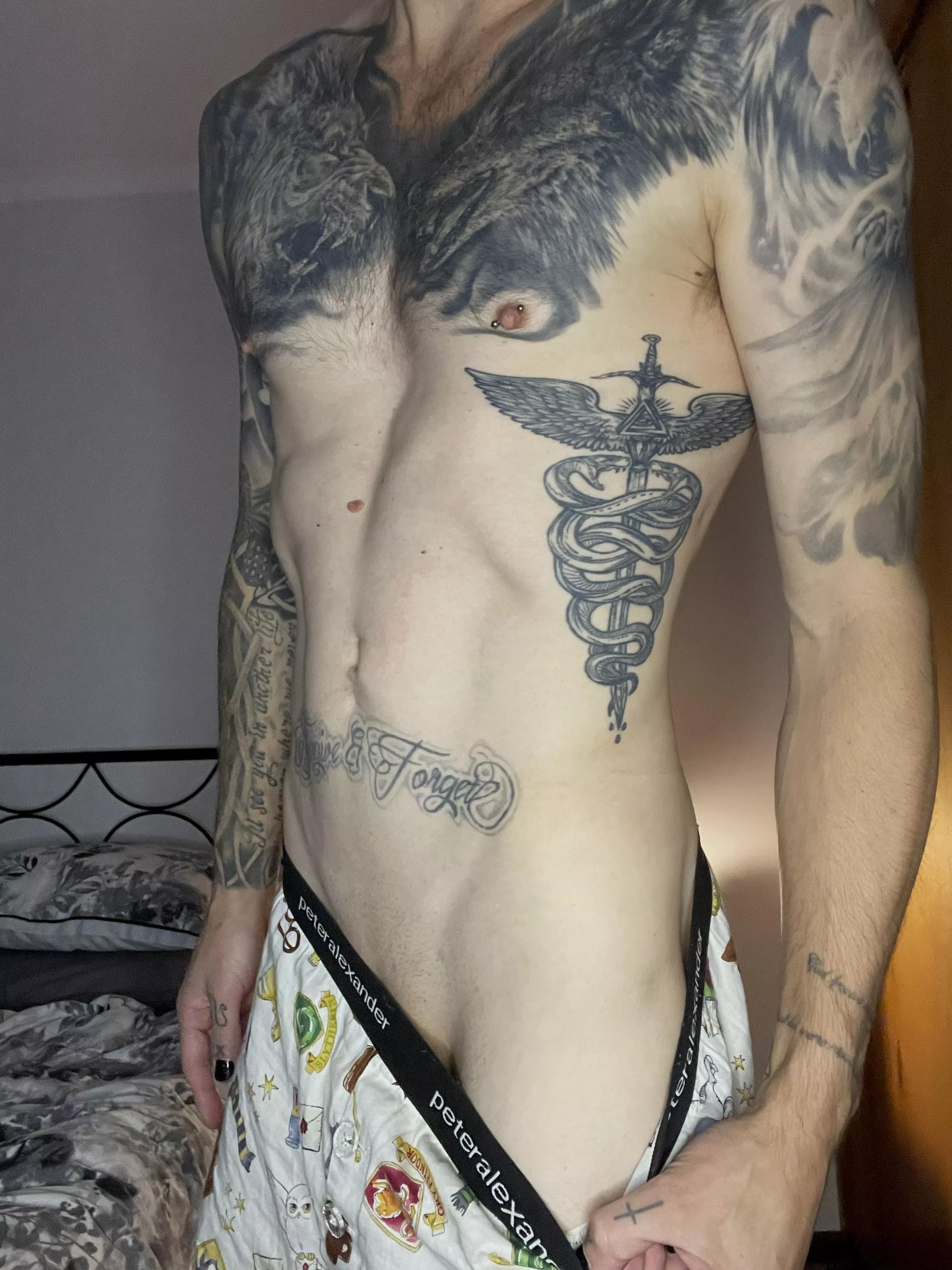 Harry Potter & The V-line To The Wand 🪄