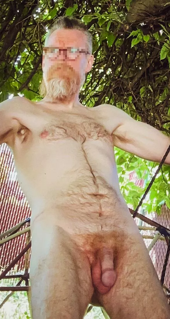 In the backyard [46]