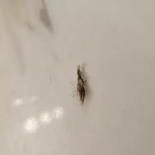 Is this a navel stone?