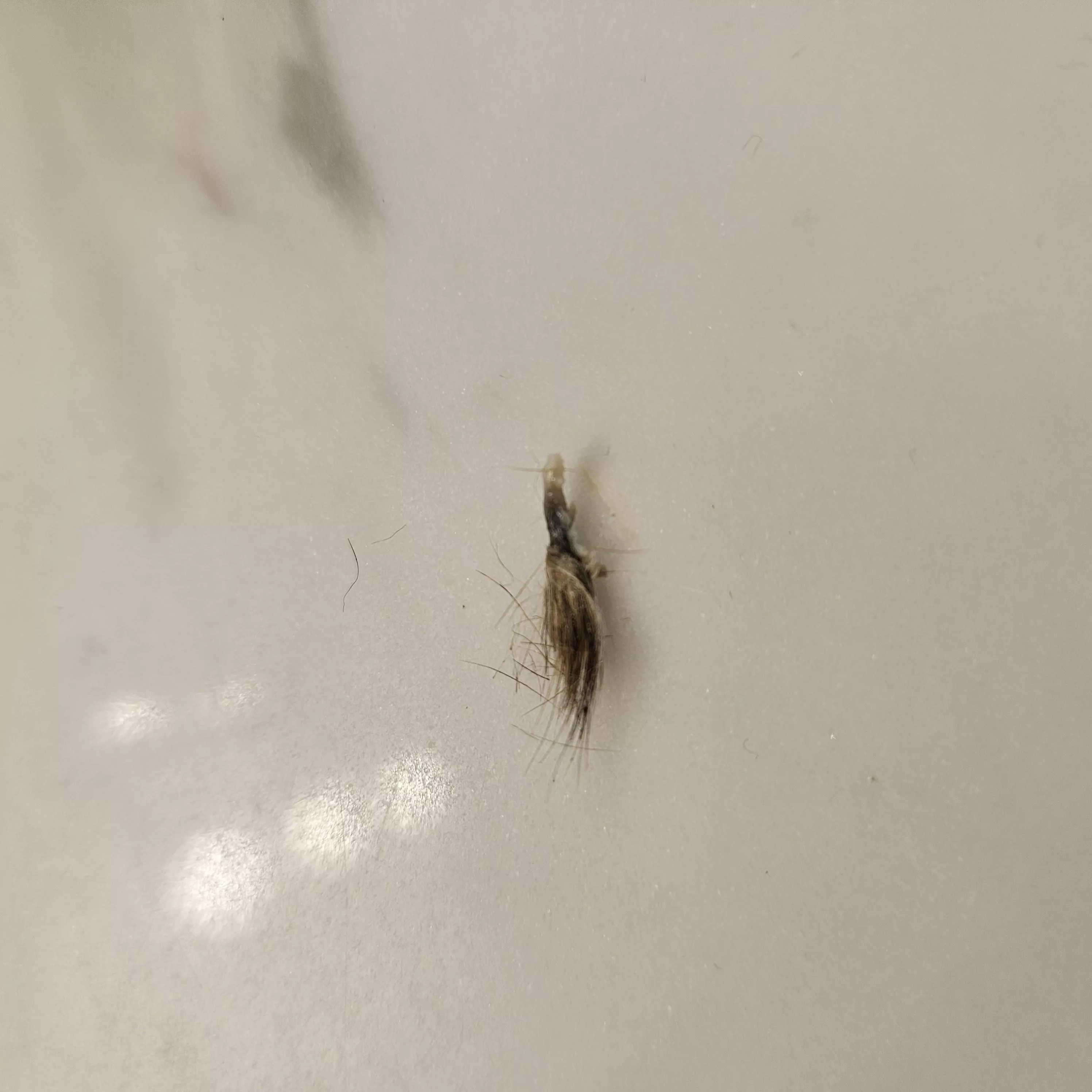 Is this a navel stone?