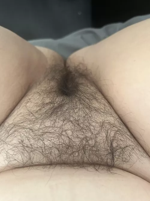 Like a forest down there