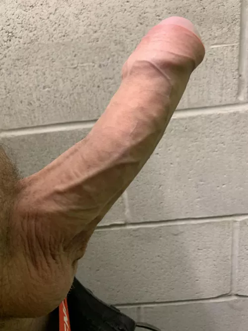 Like veiny cocks ? 
