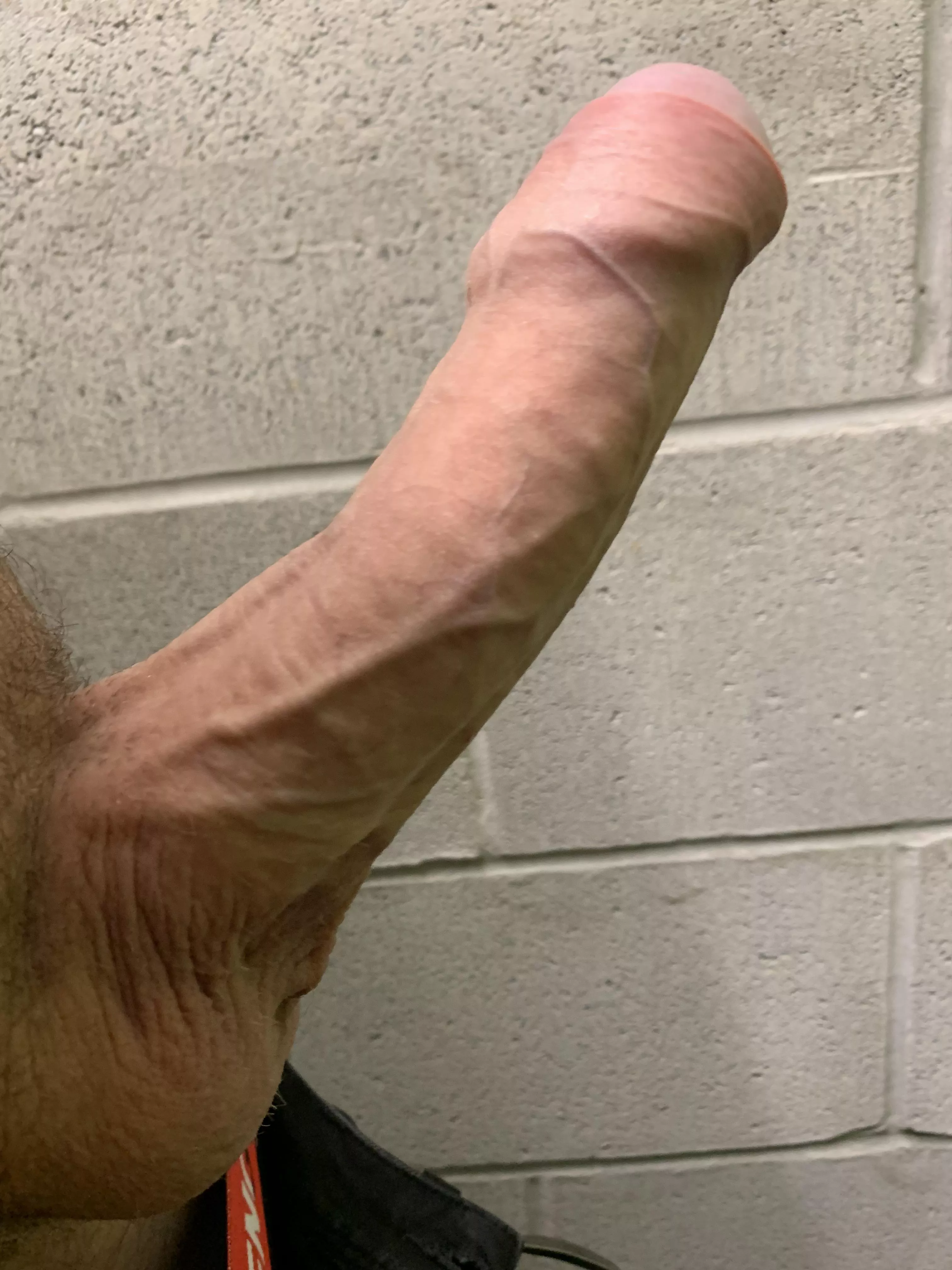 Like veiny cocks ? 