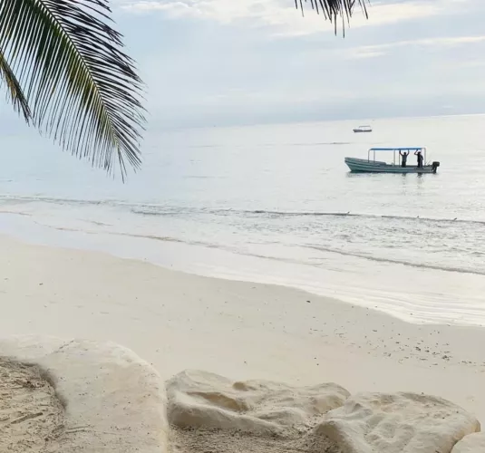 Mornings by the beach