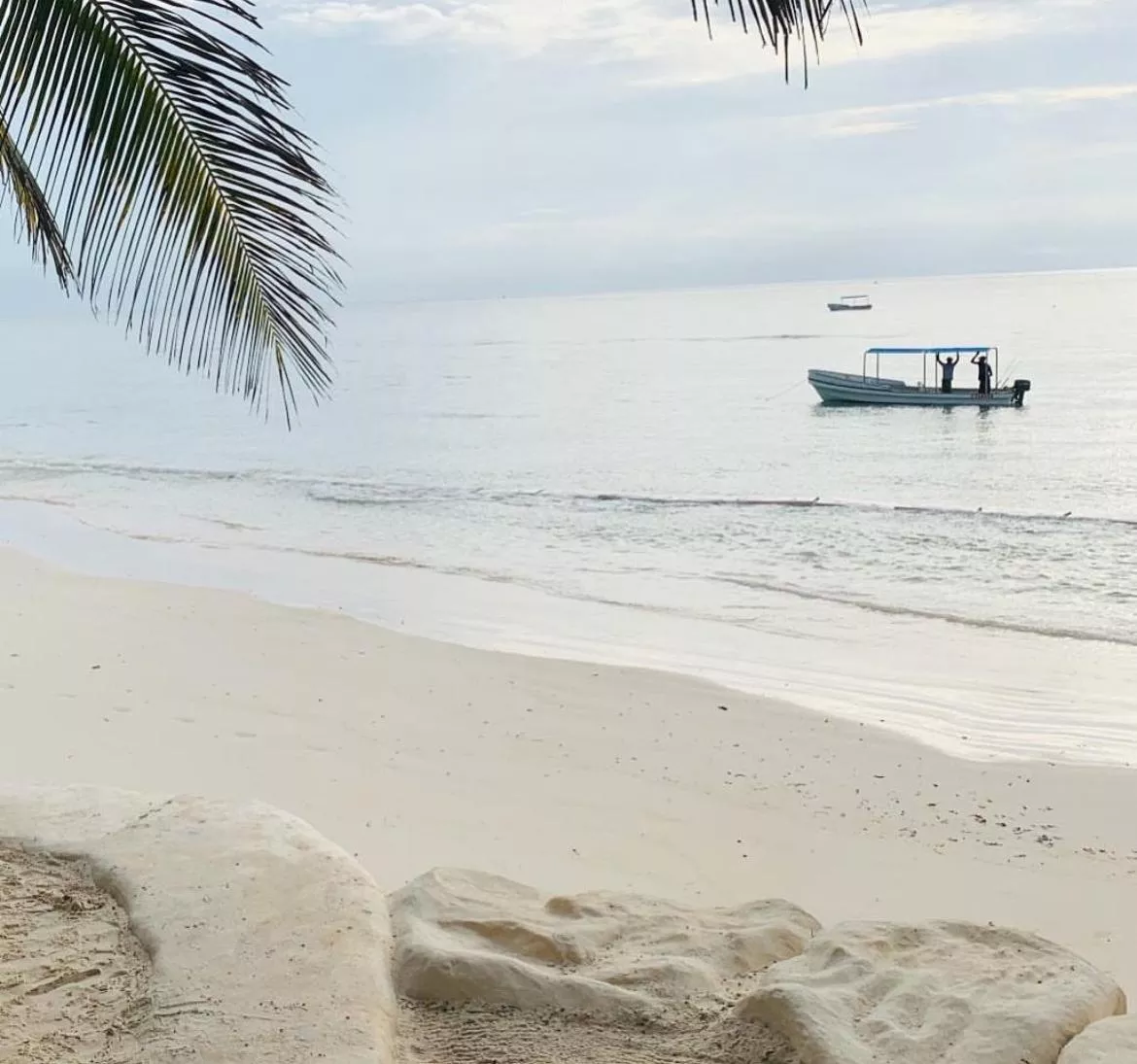 Mornings by the beach