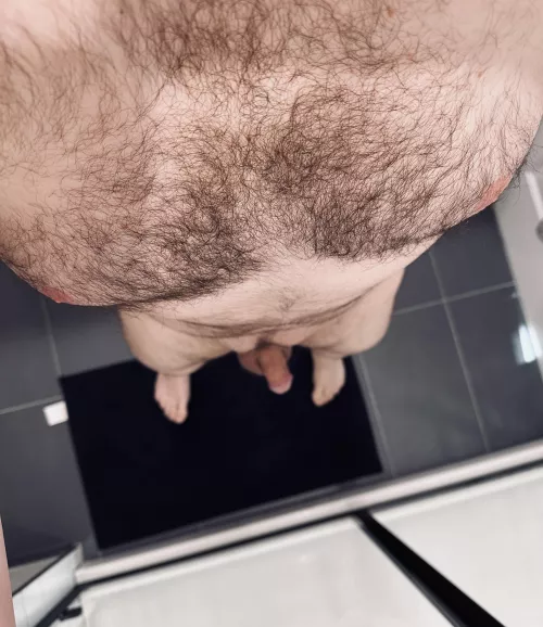 Proud owner of a brown and ginger forest on my chest. 