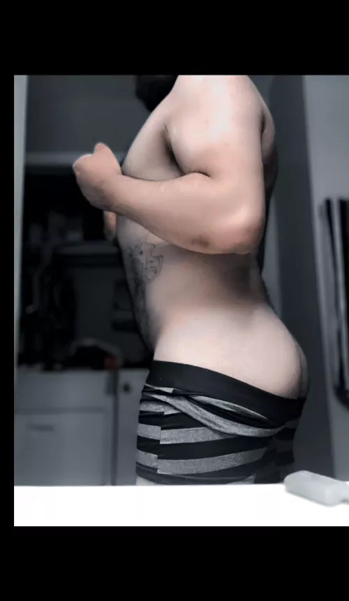 San Antonio bear 🐻