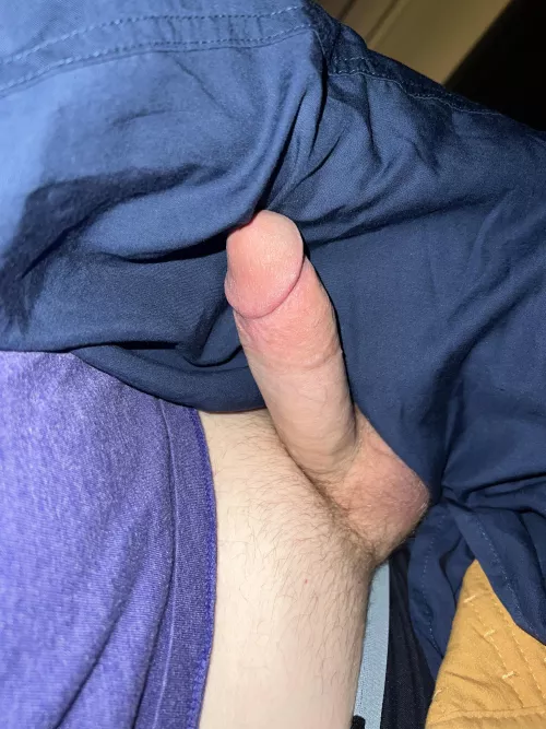 This is what is hiding under the covers every morning, would you sneak a peek? 👀 (31)