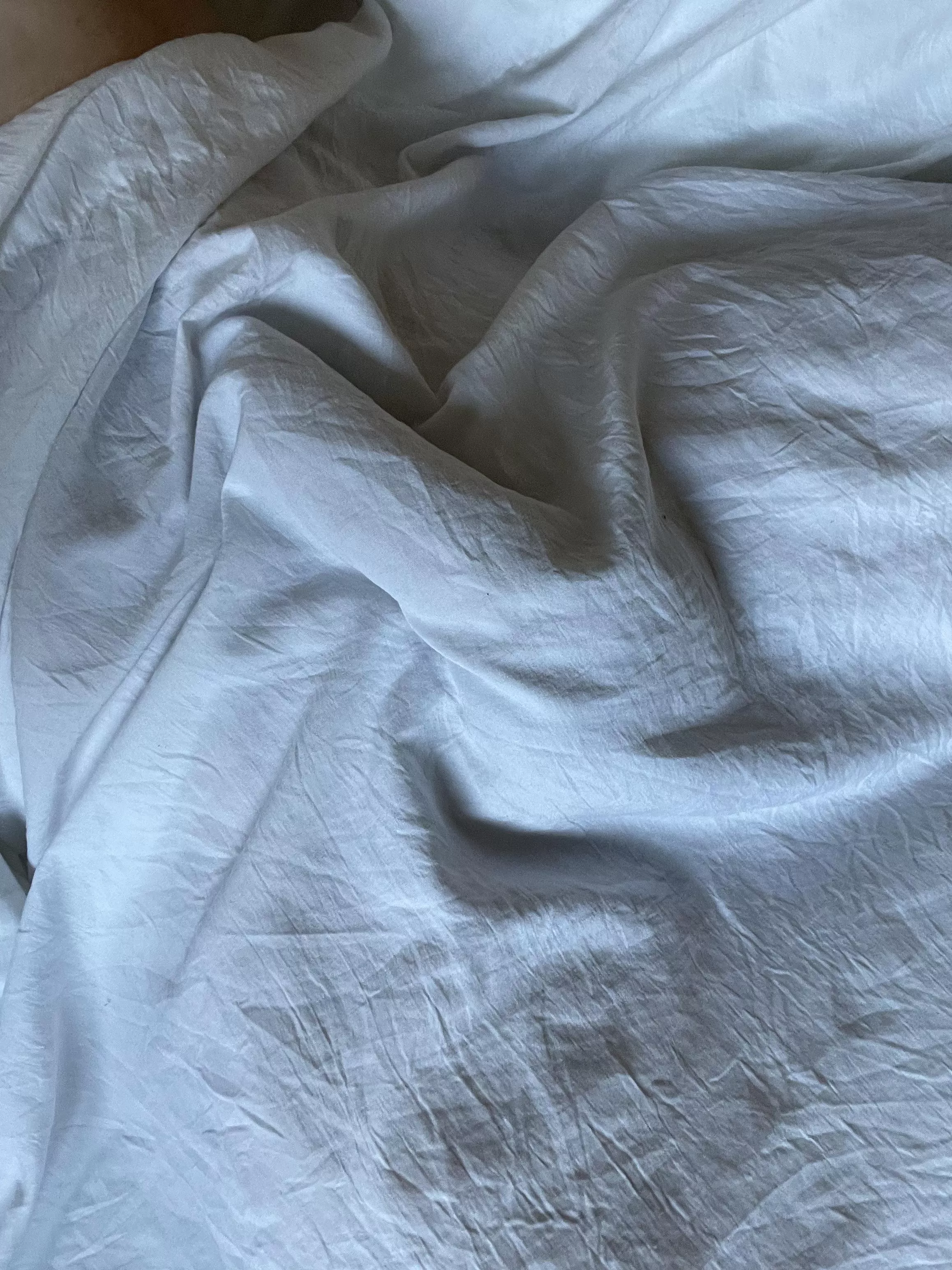 Woke up with an outline 