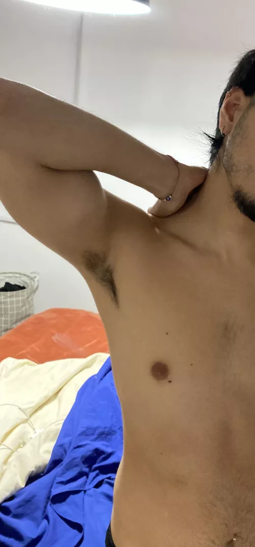 would you like to sniff?