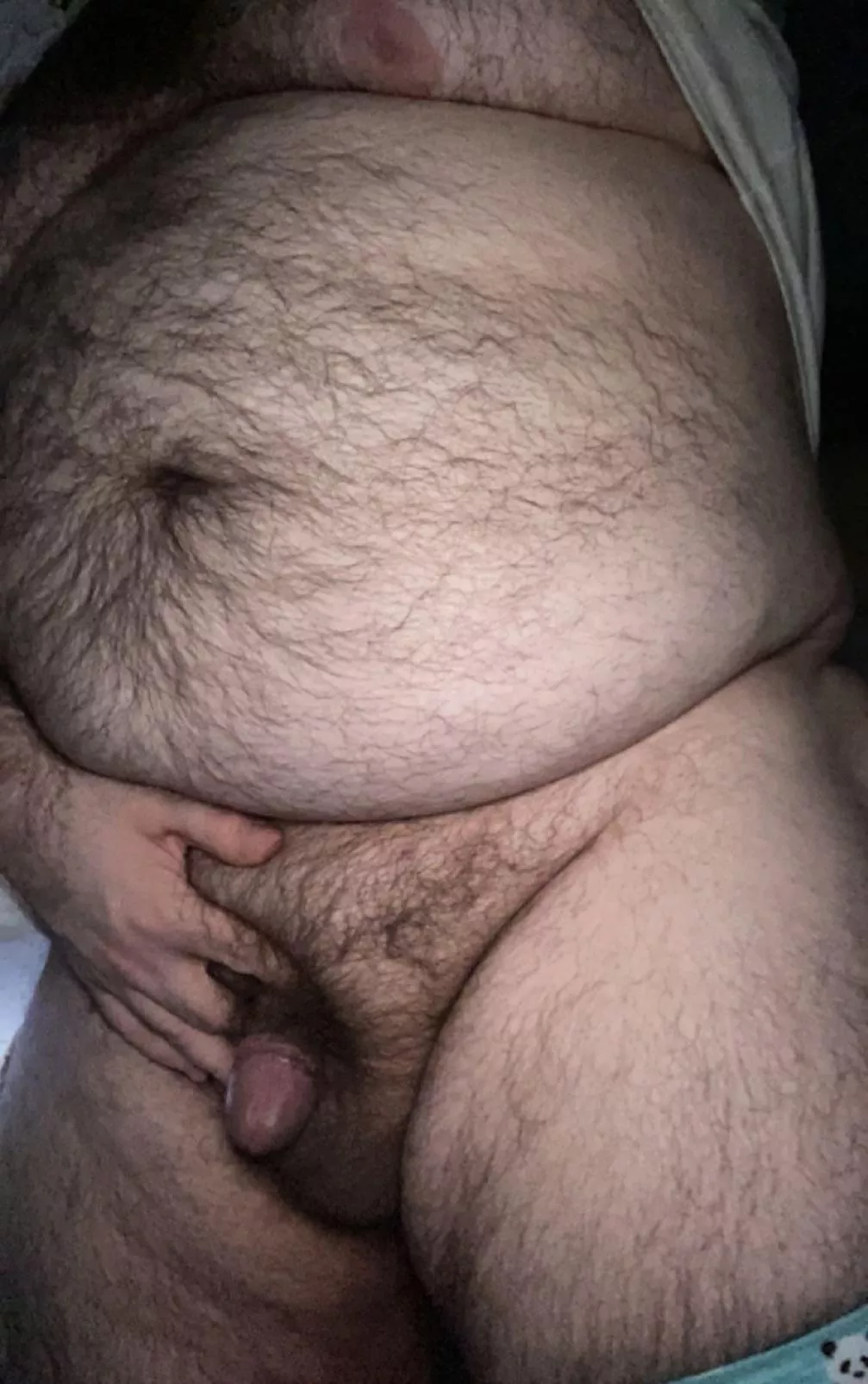 [27] in need of belly rubs